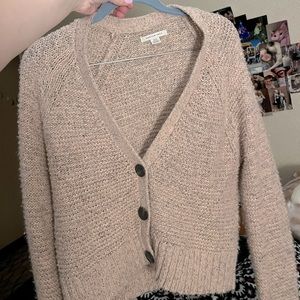 American Eagle Cardigan Sweater